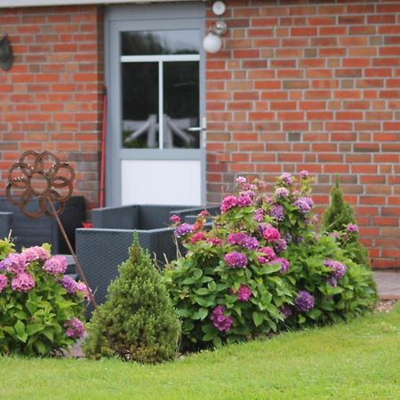Balzwiekje Auszeit Auf Pferdehof In Ostfriesland Ihlow  Экстерьер фото