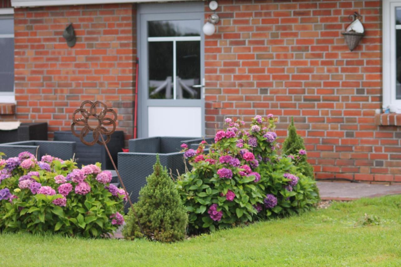 Balzwiekje Auszeit Auf Pferdehof In Ostfriesland Ihlow  Экстерьер фото